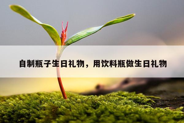 自制瓶子生日礼物，用饮料瓶做生日礼物