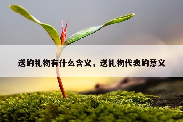 送的礼物有什么含义，送礼物代表的意义