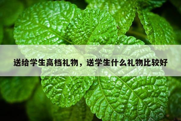 送给学生高档礼物，送学生什么礼物比较好
