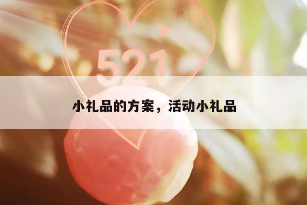 小礼品的方案，活动小礼品