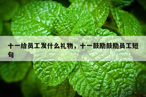 十一给员工发什么礼物，十一鼓励鼓励员工短句