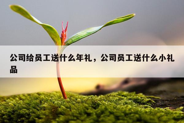 公司给员工送什么年礼，公司员工送什么小礼品