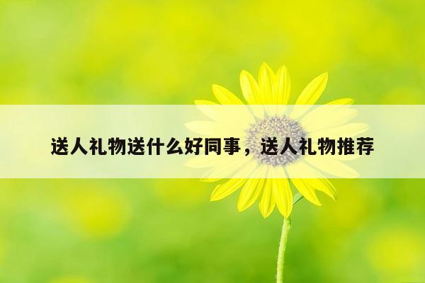 送人礼物送什么好同事，送人礼物推荐