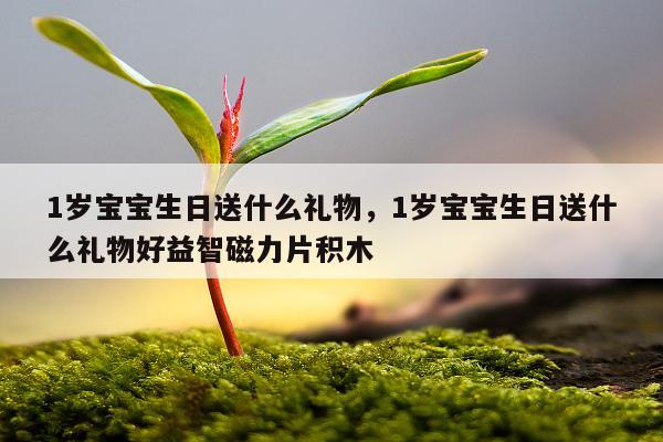 1岁宝宝生日送什么礼物，1岁宝宝生日送什么礼物好益智磁力片积木