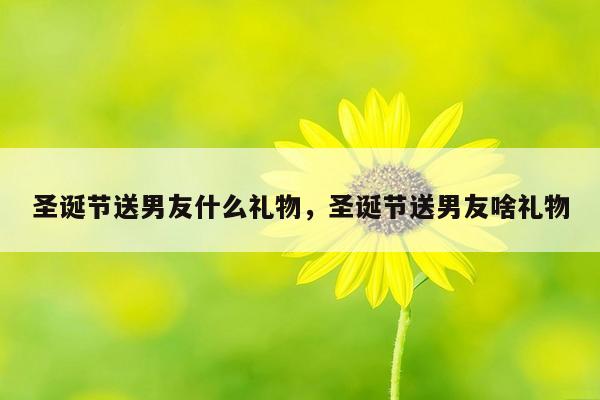 圣诞节送男友什么礼物，圣诞节送男友啥礼物