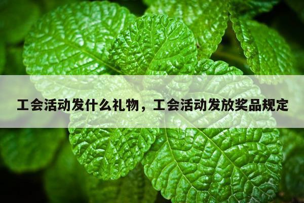 工会活动发什么礼物，工会活动发放奖品规定