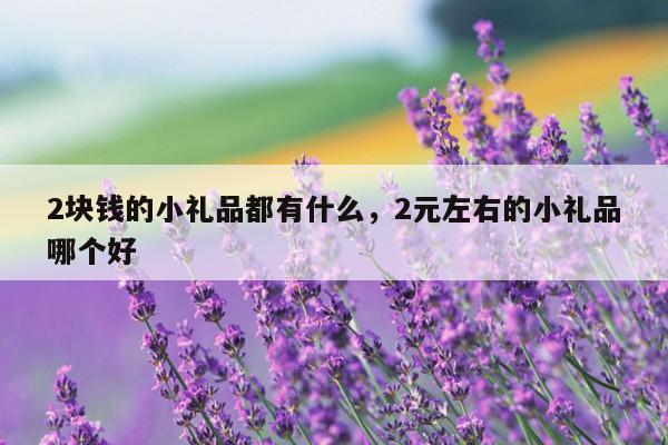 2块钱的小礼品都有什么，2元左右的小礼品哪个好