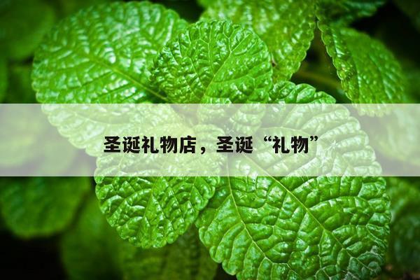 圣诞礼物店，圣诞“礼物”