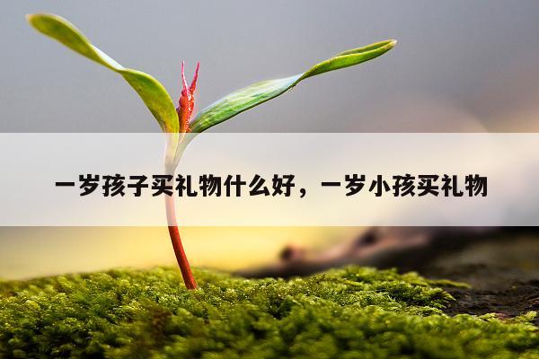 一岁孩子买礼物什么好，一岁小孩买礼物