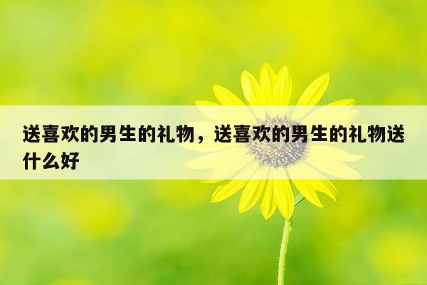 送喜欢的男生的礼物，送喜欢的男生的礼物送什么好