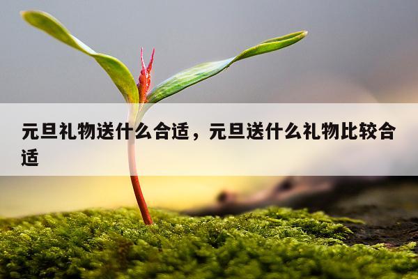 元旦礼物送什么合适，元旦送什么礼物比较合适