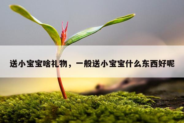 送小宝宝啥礼物，一般送小宝宝什么东西好呢