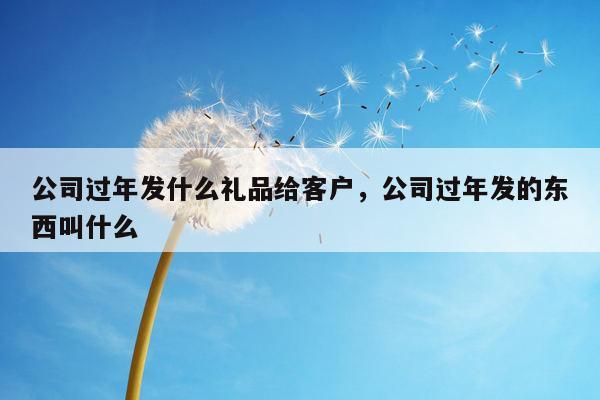 公司过年发什么礼品给客户，公司过年发的东西叫什么