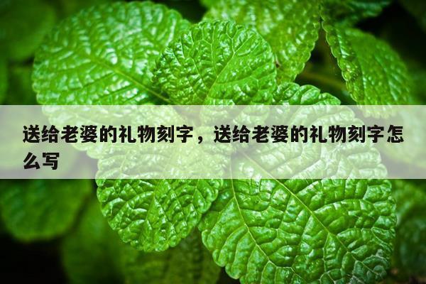 送给老婆的礼物刻字，送给老婆的礼物刻字怎么写