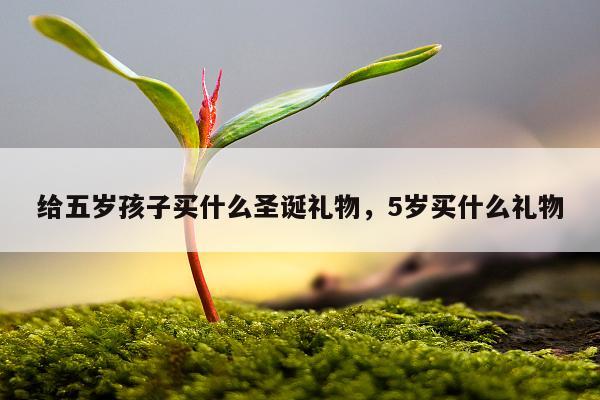 给五岁孩子买什么圣诞礼物，5岁买什么礼物