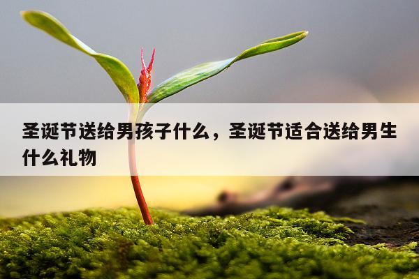 圣诞节送给男孩子什么，圣诞节适合送给男生什么礼物