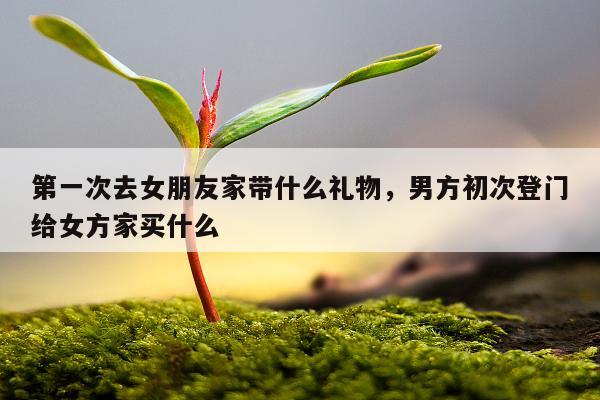 第一次去女朋友家带什么礼物，男方初次登门给女方家买什么