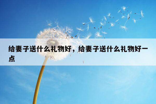 给妻子送什么礼物好，给妻子送什么礼物好一点