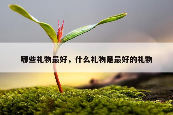 哪些礼物最好，什么礼物是最好的礼物