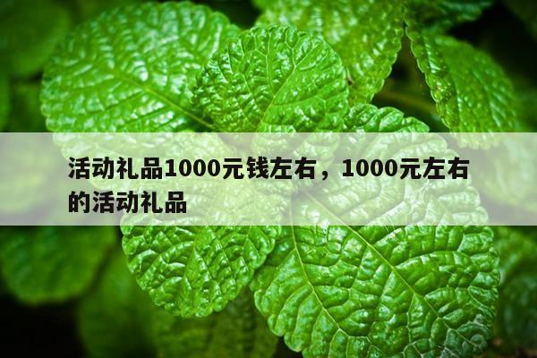 活动礼品1000元钱左右，1000元左右的活动礼品