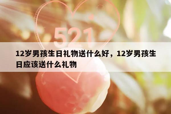 12岁男孩生日礼物送什么好，12岁男孩生日应该送什么礼物