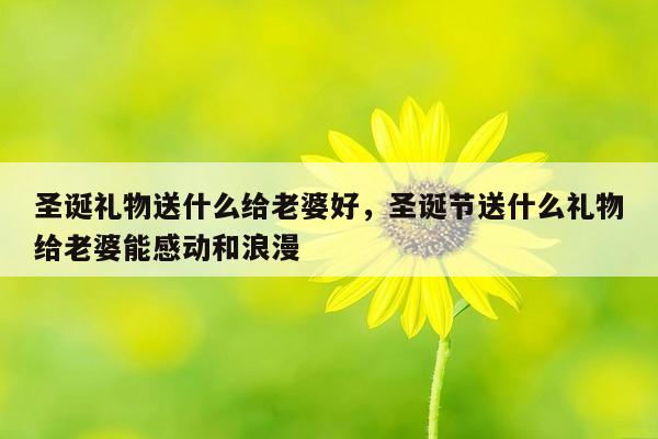 圣诞礼物送什么给老婆好，圣诞节送什么礼物给老婆能感动和浪漫