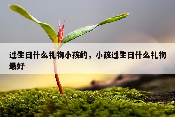 过生日什么礼物小孩的，小孩过生日什么礼物最好