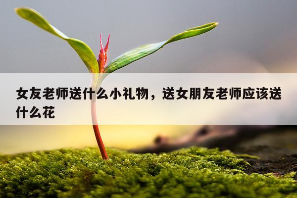 女友老师送什么小礼物，送女朋友老师应该送什么花