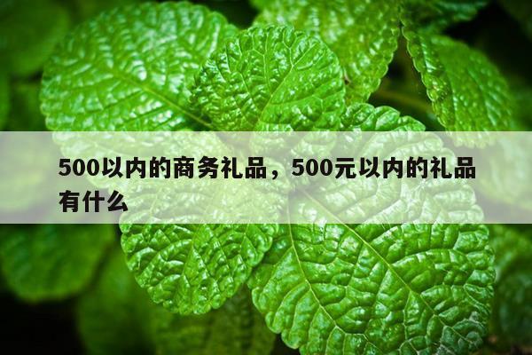 500以内的商务礼品，500元以内的礼品有什么