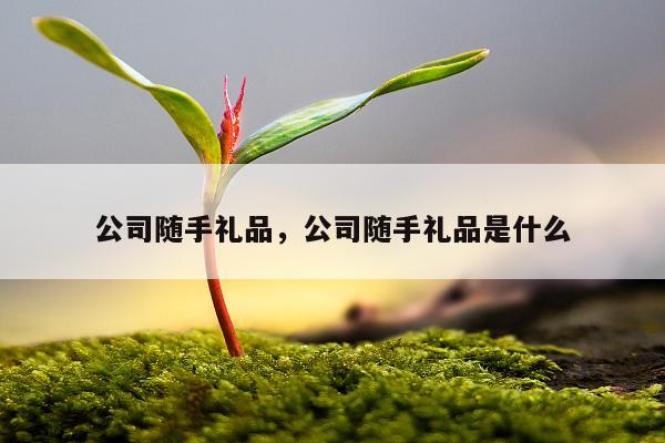 公司随手礼品，公司随手礼品是什么