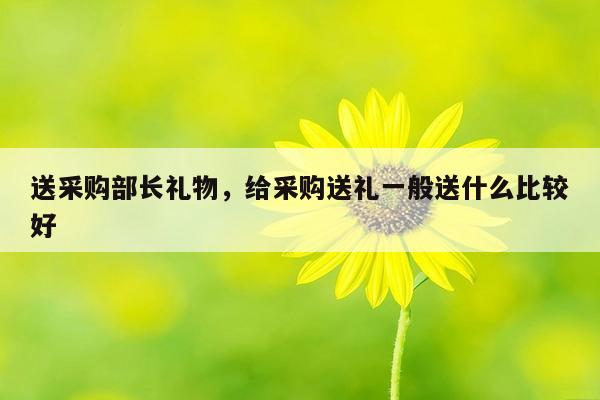 送采购部长礼物，给采购送礼一般送什么比较好