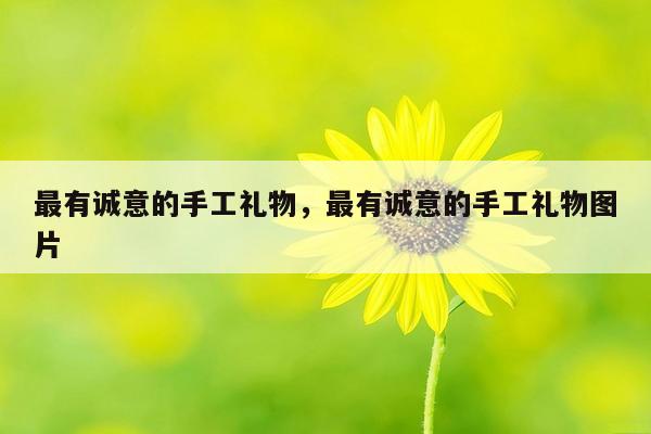 最有诚意的手工礼物，最有诚意的手工礼物图片