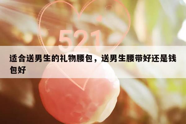 适合送男生的礼物腰包，送男生腰带好还是钱包好