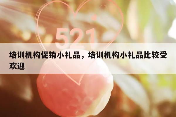 培训机构促销小礼品，培训机构小礼品比较受欢迎