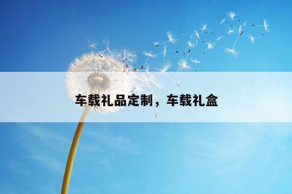 车载礼品定制，车载礼盒