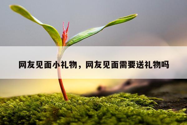 网友见面小礼物，网友见面需要送礼物吗
