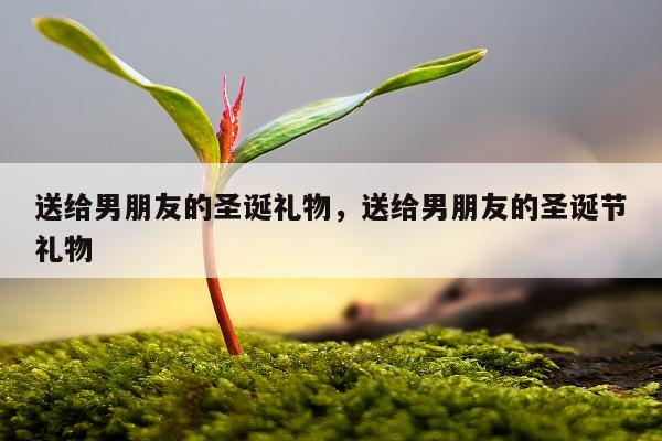 送给男朋友的圣诞礼物，送给男朋友的圣诞节礼物