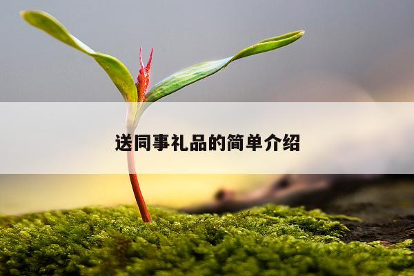 送同事礼品的简单介绍