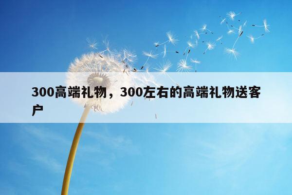300高端礼物，300左右的高端礼物送客户