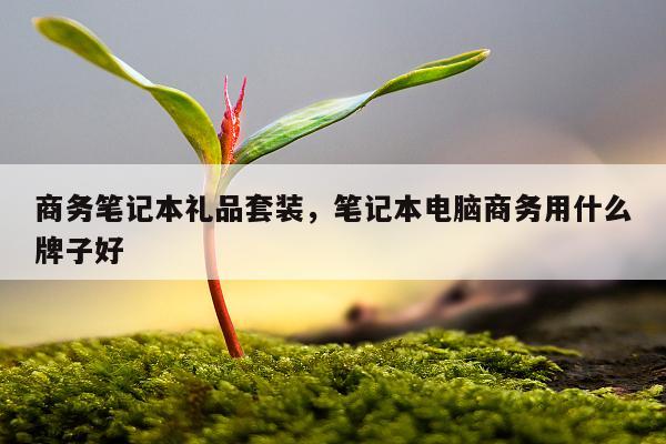 商务笔记本礼品套装，笔记本电脑商务用什么牌子好