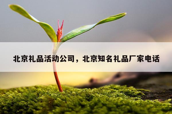 北京礼品活动公司，北京知名礼品厂家电话