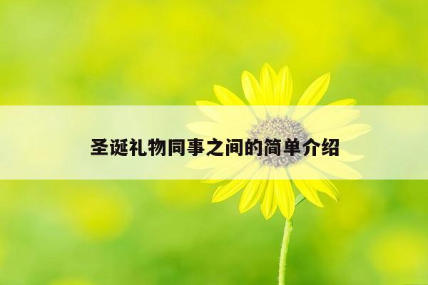 圣诞礼物同事之间的简单介绍