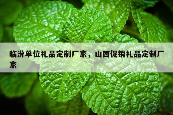 临汾单位礼品定制厂家，山西促销礼品定制厂家