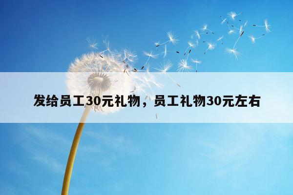 发给员工30元礼物，员工礼物30元左右