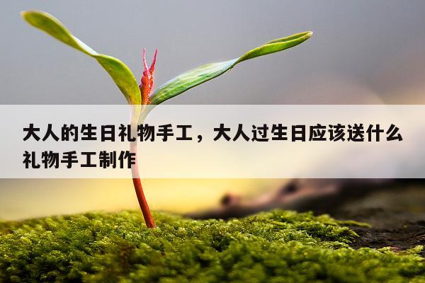 大人的生日礼物手工，大人过生日应该送什么礼物手工制作