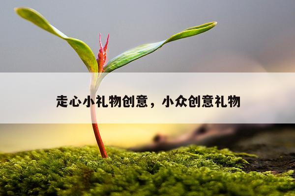 走心小礼物创意，小众创意礼物