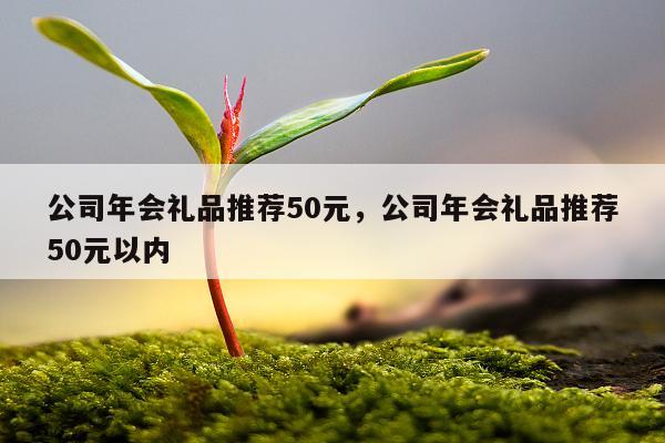 公司年会礼品推荐50元，公司年会礼品推荐50元以内
