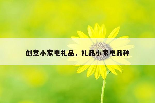 创意小家电礼品，礼品小家电品种