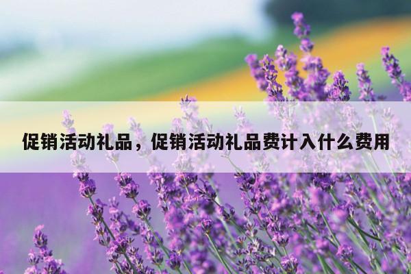 促销活动礼品，促销活动礼品费计入什么费用