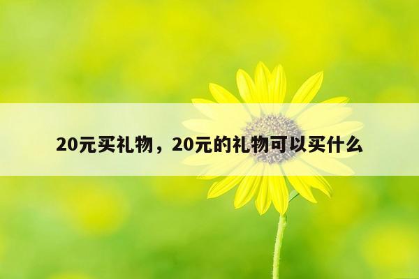 20元买礼物，20元的礼物可以买什么